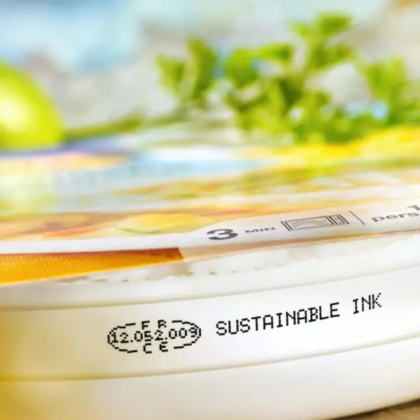 SMALL CHARACTER INKJET 9029 SI 2