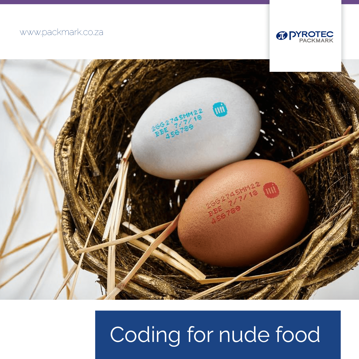 Blog August Coding for nude food