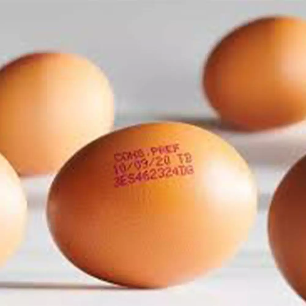 Thermal Transfer Smartdate X65 2